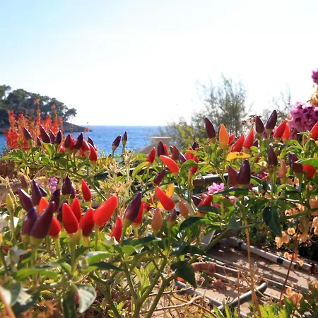 By The Sea Prizba, Korcula - 175 Apartamento *